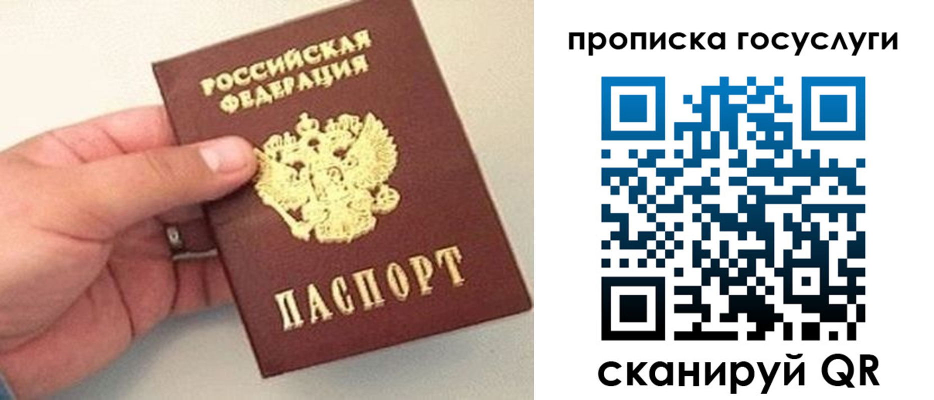 где прописаться в Шуе